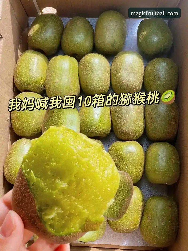奇异果体育注册哪个好 3大关键点帮你判断奇异果体育注册哪个好